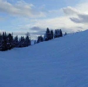 Meet your Posher, Flora